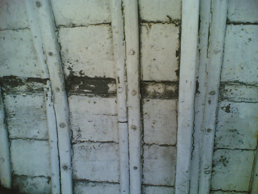 [Immagine: 201264225437_chiglia 09.jpg]